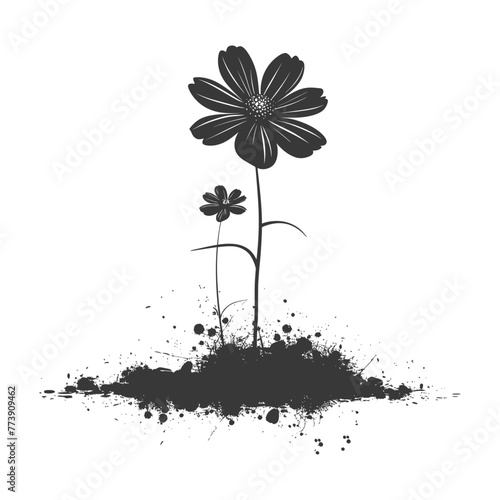 Silhouette cosmos flower in the ground black color only