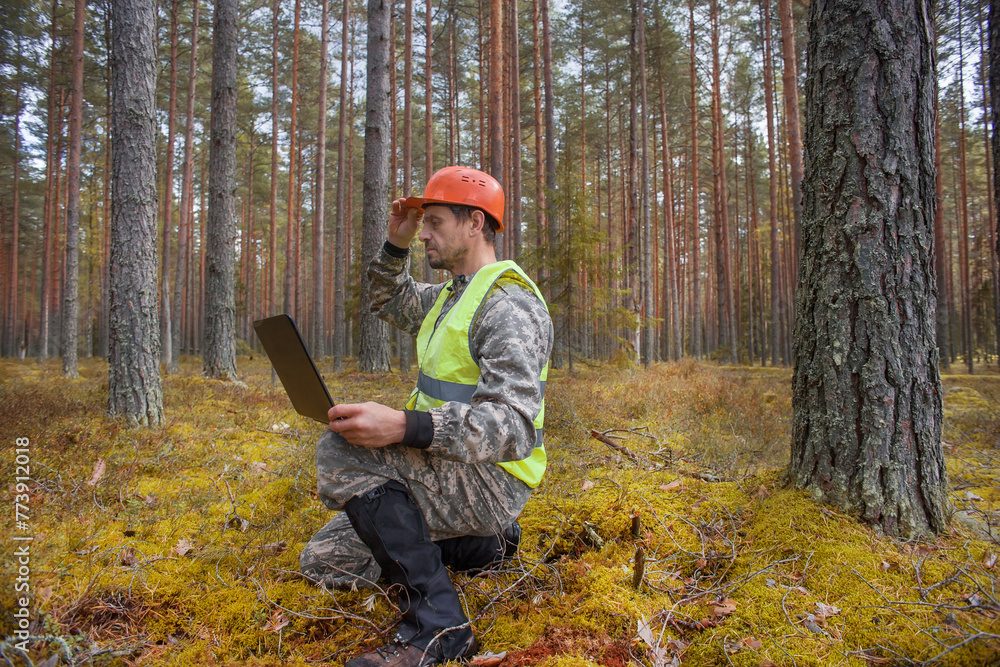 Forest engineer works in the forest with a computer. Forest engineer works in the forest with a computer.