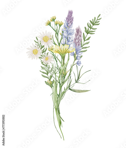 Watercolor wildflowers bouquet. Botanical arrangement of wild flowers and herbs. Summer floral composition