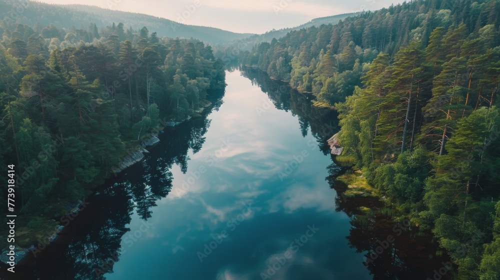 River Flowing Through Lush Green Forest River Flowing Through Lush Green Forest