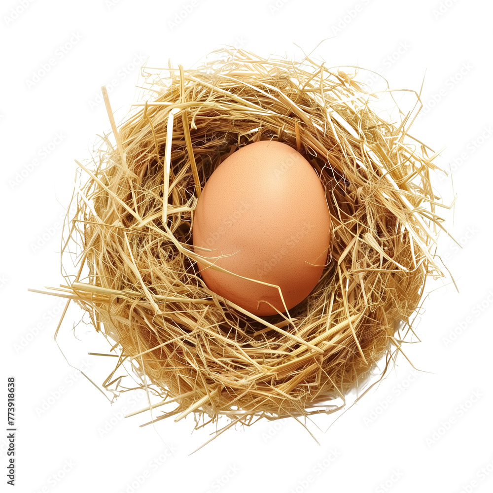 A single, pristine egg nestled in a nest of hay, capturing the natural start of a farm-fresh morning, isolated on transparent background A single, pristine egg nestled in a nest of hay, capturing the natural start of a farm-fresh morning, isolated on transparent background