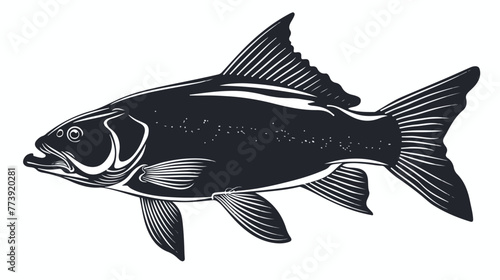 Catla or Katla Fish also known as the major South Asi photo