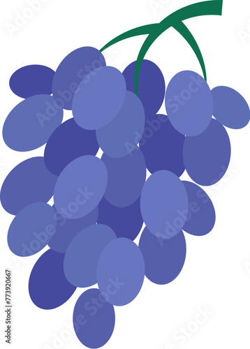 Bunch of ripe juicy grapes. Picking summer grapes berries for winery. Summer vacation icon. Simple flat cartoon vector isolated on white background
