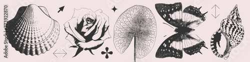 Summer Set of seashells, rose, leaf, butterfly in photocopy halftone Y2K style. Isolated black and white retro print effect. photo