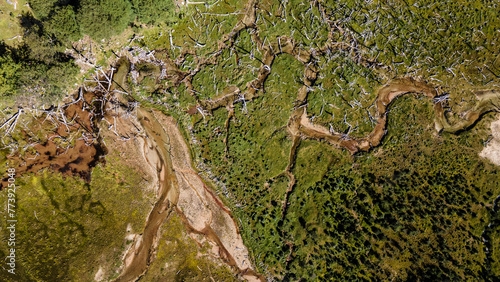 Rio y arroyos