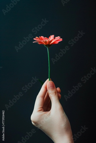 Photography of hand holding a flower