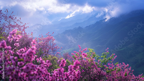 Blooming pink rhododendron flowers against misty mountain range, spring landscape. Nature's beauty and serenity concept for design and print. Vibrant flora with scenic mountain backdrop