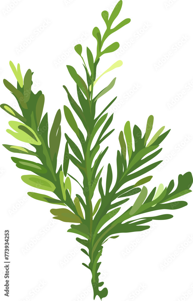 Tree illustration on transparent background.
Tree illustration on transparent background.