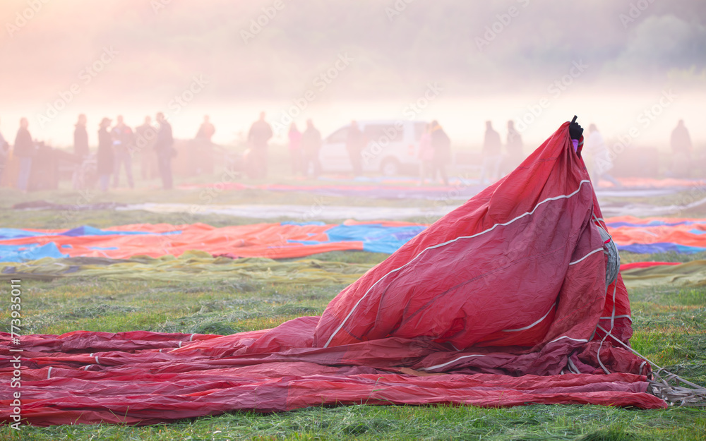 Grounded Elegance: Balloon Rests Peacefully on Earth Grounded Elegance: Balloon Rests Peacefully on Earth