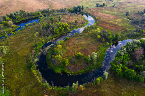 Serpentine Stream: A Bird's-Eye View of the Meandering River