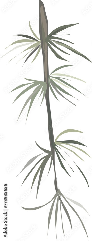 Tree illustration on transparent background.
