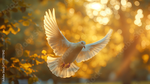 White dove in flight. © Janis Smits