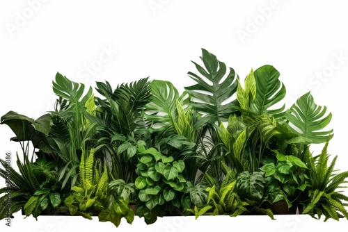 Group of Plants in Planter