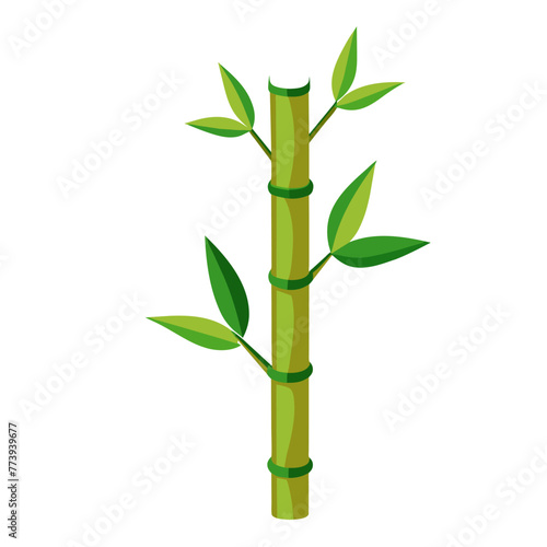 Green Bamboo stems isolated on the white background