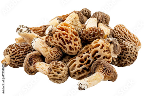 Morel Mushrooms Isolated on a Transparent Background