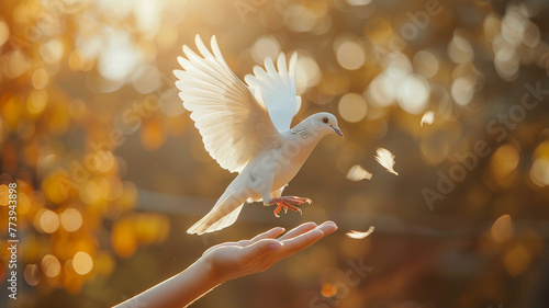 A white dove flying out of a human hand symbolizes freedom and independence, capturing the essence of liberation and peace. #773943898