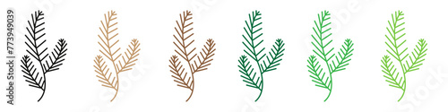 Natural Pine Branch Icons with Fir Needles Symbolizing Evergreen Foliage