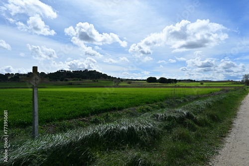 Spectacular green field with stone cross photo