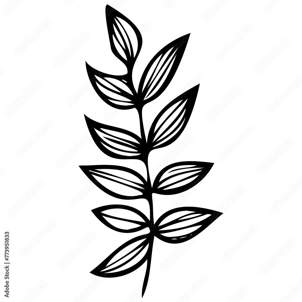 Hand drawn leaves line linear black Strock Symbol visual illustration Plant nature hand drawn set. Collection botanical element Elegante vintage style