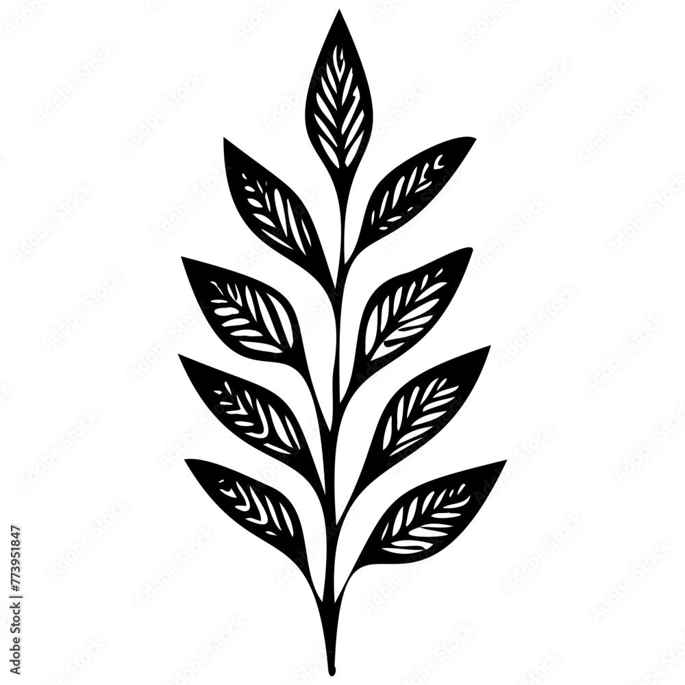 Hand drawn leaves line linear black Strock Symbol visual illustration Plant nature hand drawn set. Collection botanical element Elegante vintage style Hand drawn leaves line linear black Strock Symbol visual illustration Plant nature hand drawn set. Collection botanical element Elegante vintage style
