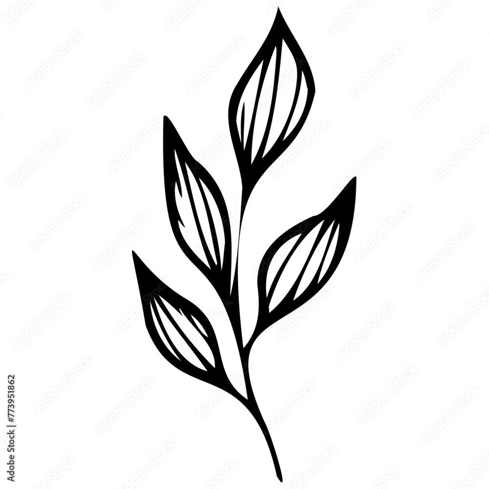 Hand drawn leaves line linear black Strock Symbol visual illustration Plant nature hand drawn set. Collection botanical element Elegante vintage style Hand drawn leaves line linear black Strock Symbol visual illustration Plant nature hand drawn set. Collection botanical element Elegante vintage style