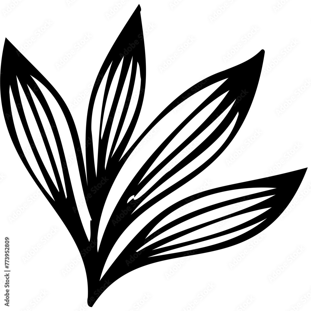Hand drawn winter leaves and branches. Floral twig, botanical branch with berry and leaf doodle. Plant leaf feather and fir tree branches element. Isolated vector icons Hand drawn winter leaves and branches. Floral twig, botanical branch with berry and leaf doodle. Plant leaf feather and fir tree branches element. Isolated vector icons