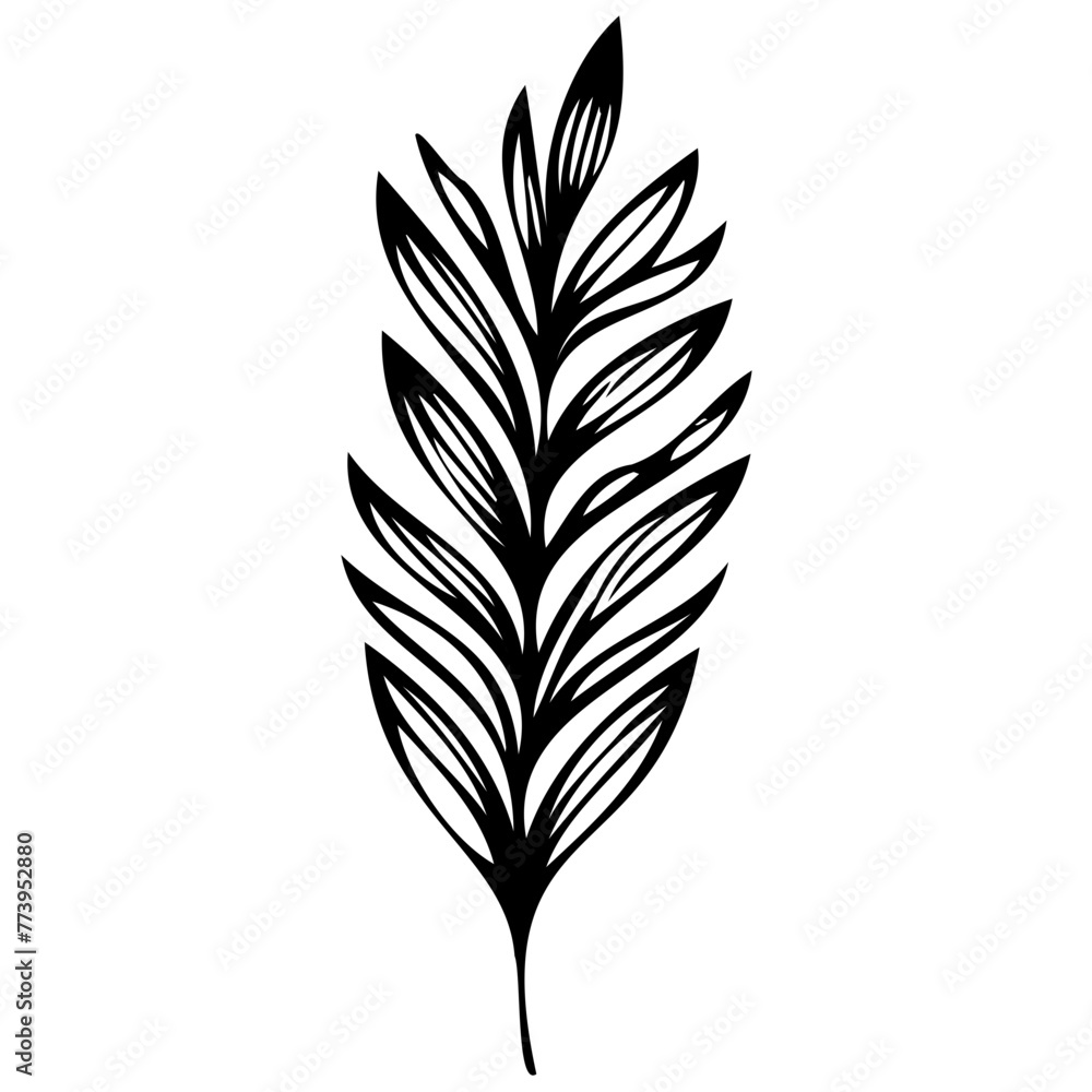 Hand drawn winter leaves and branches. Floral twig, botanical branch with berry and leaf doodle. Plant leaf feather and fir tree branches element. Isolated vector icons Hand drawn winter leaves and branches. Floral twig, botanical branch with berry and leaf doodle. Plant leaf feather and fir tree branches element. Isolated vector icons