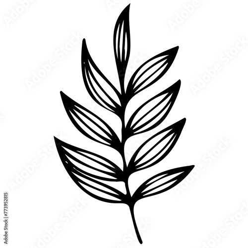 Hand drawn winter leaves and branches. Floral twig, botanical branch with berry and leaf doodle. Plant leaf feather and fir tree branches element. Isolated vector icons © Microstocke
