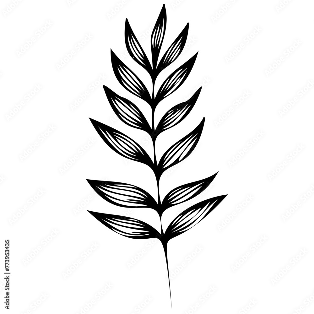 Hand drawn leaves line linear black Strock Symbol visual illustration Leaves doodle Collection of pencil chalk hand drawn templates sketches patterns of different shape tree foliage 