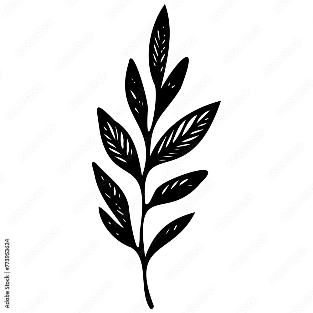 Hand drawn leaves line linear black Strock Symbol visual illustration Leaves doodle Collection of pencil chalk hand drawn templates sketches patterns of different shape tree foliage Hand drawn leaves line linear black Strock Symbol visual illustration Leaves doodle Collection of pencil chalk hand drawn templates sketches patterns of different shape tree foliage