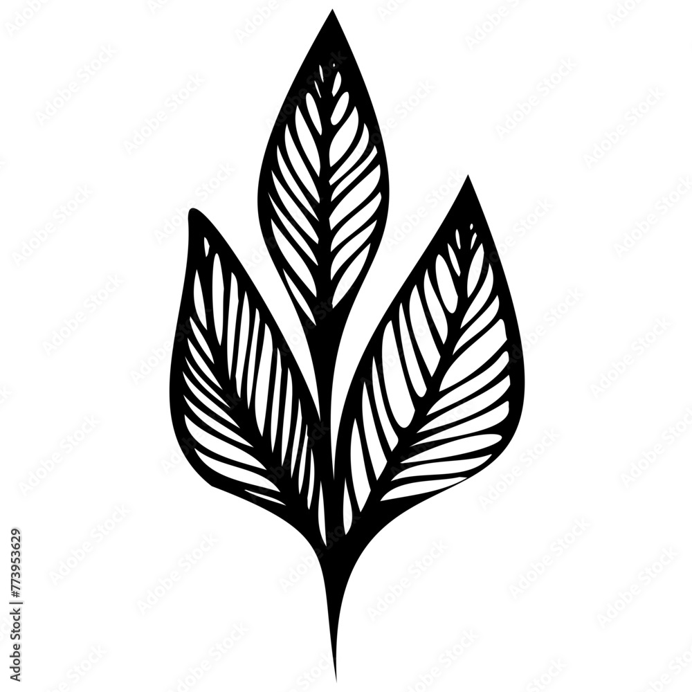 Hand drawn leaves line linear black Strock Symbol visual illustration Leaves doodle Collection of pencil chalk hand drawn templates sketches patterns of different shape tree foliage 