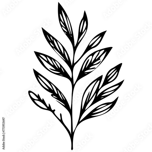 Hand drawn leaves line linear black Strock Symbol visual illustration, handmade leaves - herbs and leaf branches with leaves and flowers vector icon © Microstocke