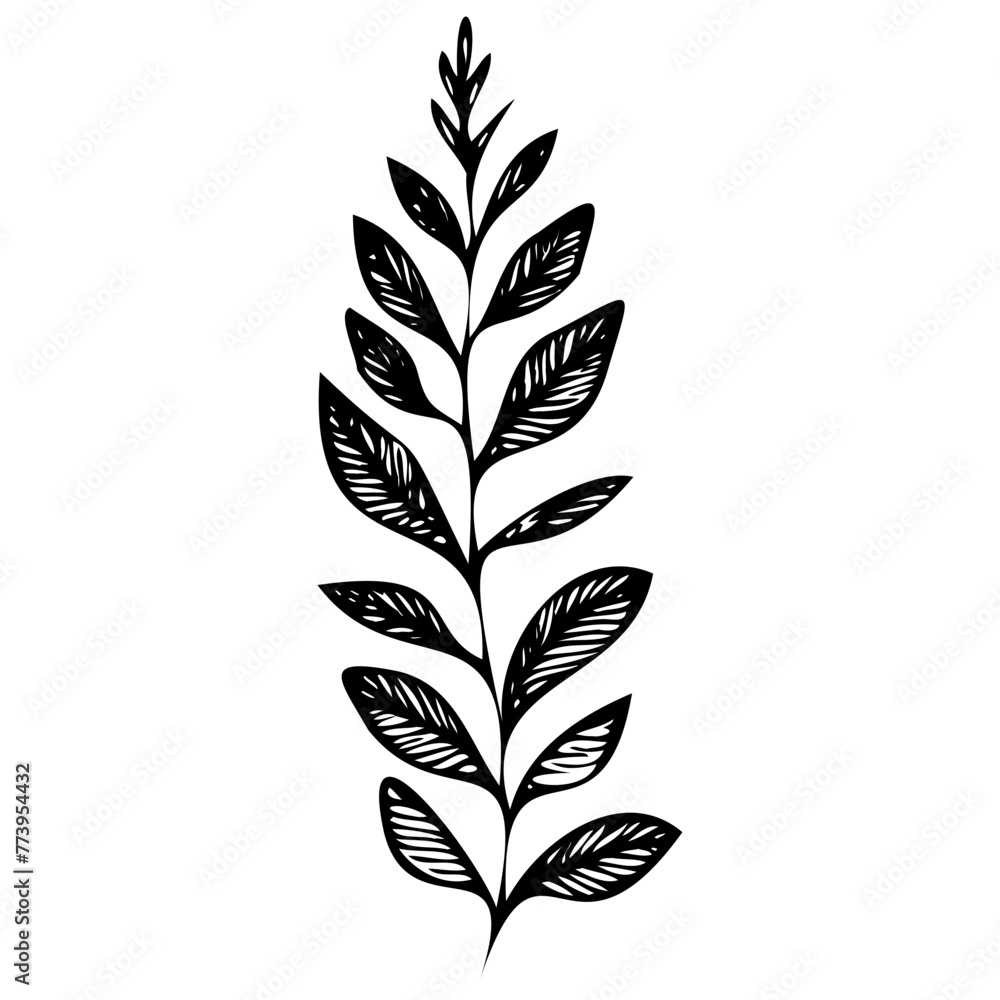 Fototapeta premium Hand drawn leaves line linear black Strock Symbol visual illustration Plant nature hand drawn set. Collection botanical element. Elegante vintage style