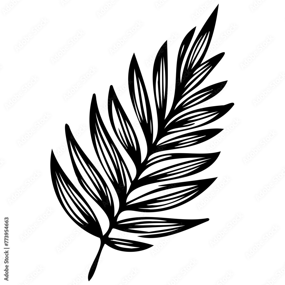 Hand drawn leaves line linear black Strock Symbol visual illustration Plant nature hand drawn set. Collection botanical element. Elegante vintage style Hand drawn leaves line linear black Strock Symbol visual illustration Plant nature hand drawn set. Collection botanical element. Elegante vintage style