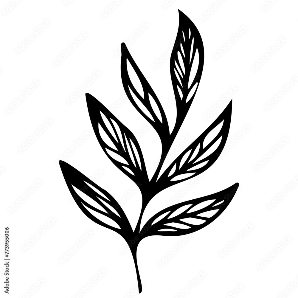 Hand drawn leaves line linear black strock Symbol visual illustration branch and leaves collection. Floral hand drawn vintage set. Sketch line art illustration. Element design Hand drawn leaves line linear black strock Symbol visual illustration branch and leaves collection. Floral hand drawn vintage set. Sketch line art illustration. Element design