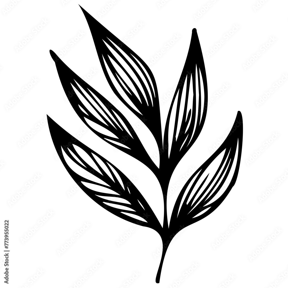Hand drawn leaves line linear black strock Symbol visual illustration branch and leaves collection. Floral hand drawn vintage set. Sketch line art illustration. Element design Hand drawn leaves line linear black strock Symbol visual illustration branch and leaves collection. Floral hand drawn vintage set. Sketch line art illustration. Element design