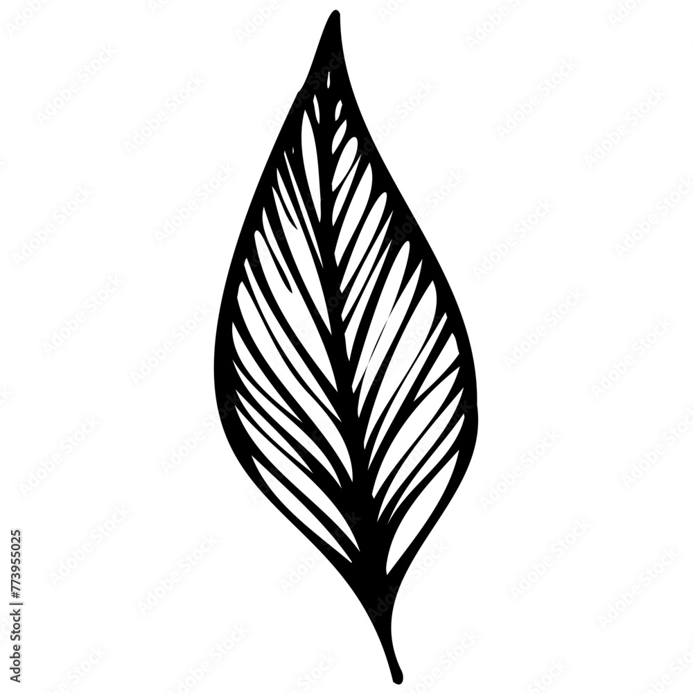 Hand drawn leaves line linear black strock Symbol visual illustration branch and leaves collection. Floral hand drawn vintage set. Sketch line art illustration. Element design Hand drawn leaves line linear black strock Symbol visual illustration branch and leaves collection. Floral hand drawn vintage set. Sketch line art illustration. Element design