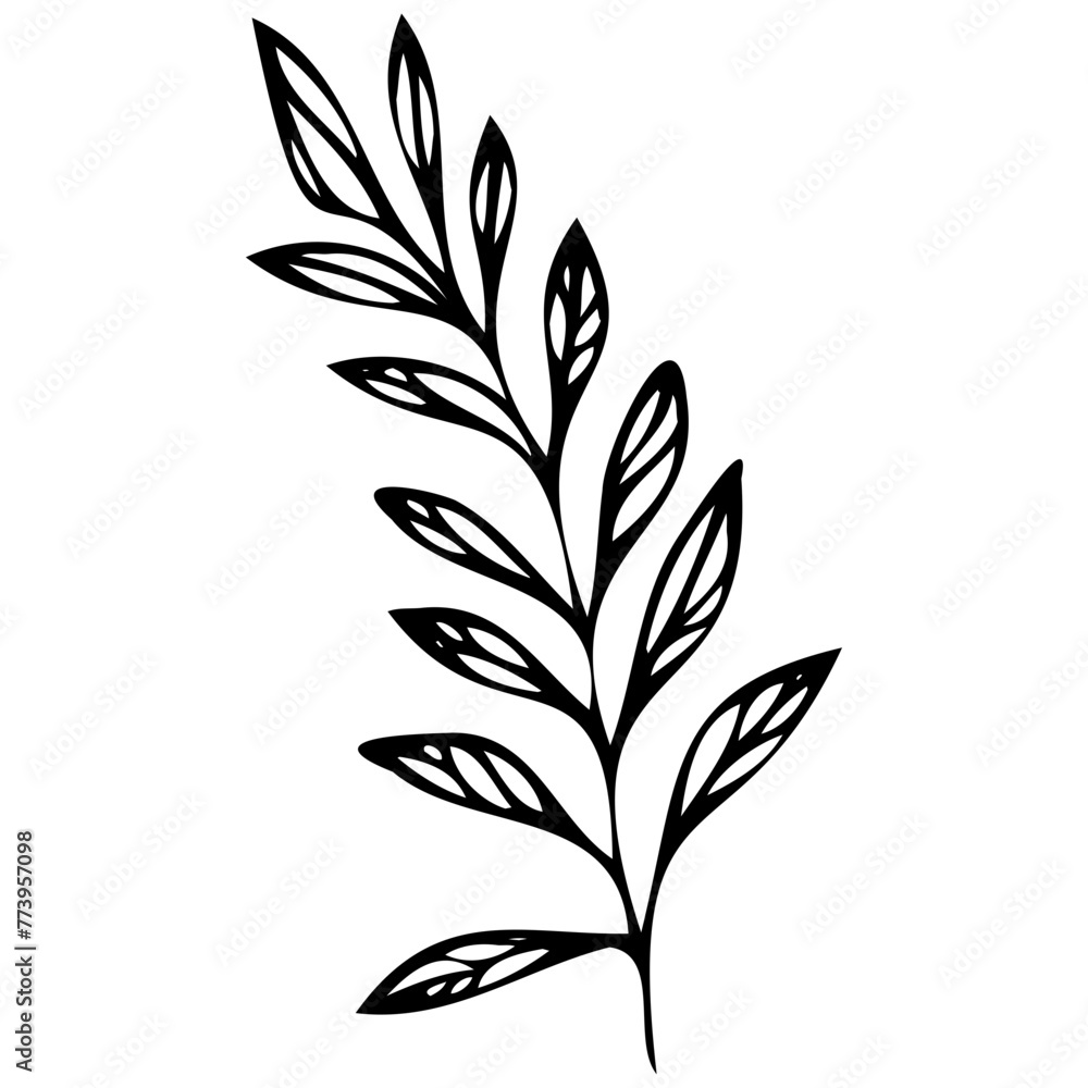 Hand drawn leaves line linear black strock Symbol visual illustration Hand drawn leaves line linear black strock Symbol visual illustration
