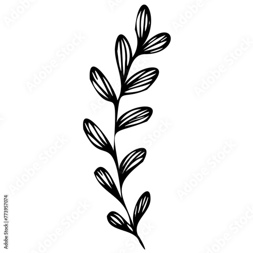 Hand drawn leaves line linear black strock Symbol visual illustration