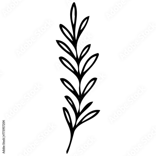 Hand drawn leaves line linear black strock Symbol visual illustration