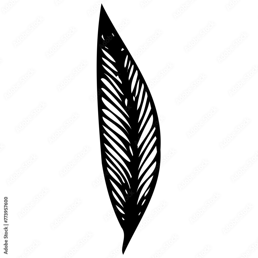 Hand drawn leaves line Symbol visual illustration Tropical Leaves in doodle style. Vector hand drawn black line design elements. Exotic summer botanical illustrations. Monstera leaves, palm leaves Hand drawn leaves line Symbol visual illustration Tropical Leaves in doodle style. Vector hand drawn black line design elements. Exotic summer botanical illustrations. Monstera leaves, palm leaves