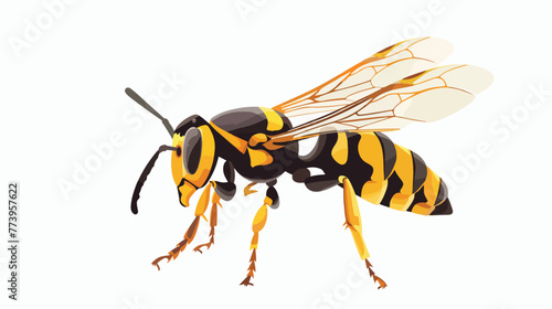 Cartoon bee hornet isolated on white background © Mishab