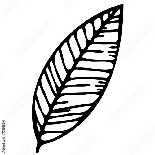 Hand drawn leaves line linear black strock Symbol visual illustration Minimal botanical hand drawing design for logo and wedding invitation. Floral line art. Flower and leaves Element