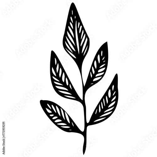 Hand drawn leaves line linear black strock Symbol visual illustration Botanical linear flower set. Abstract creative floral collection, minimalist flowery art for print, tattoo. Vector illustration © Microstocke