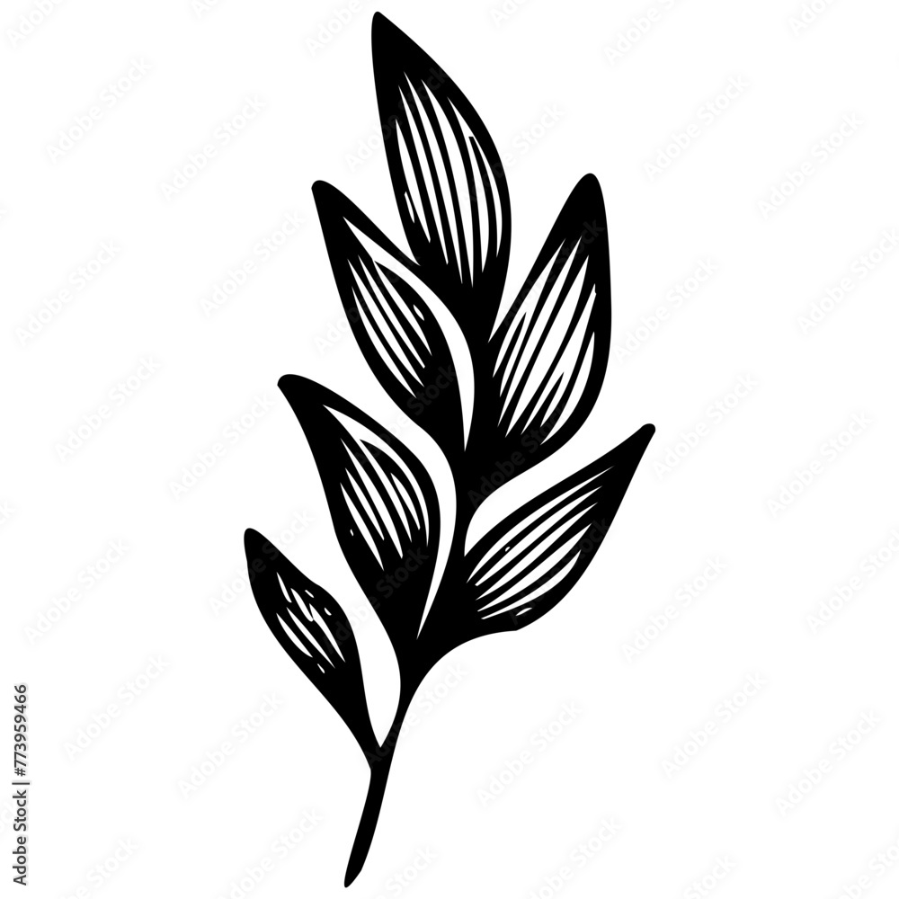 Hand drawn leaves line linear black strock Symbol visual illustration Botanical linear flower set. Abstract creative floral collection, minimalist flowery art for print, tattoo. Vector illustration Hand drawn leaves line linear black strock Symbol visual illustration Botanical linear flower set. Abstract creative floral collection, minimalist flowery art for print, tattoo. Vector illustration
