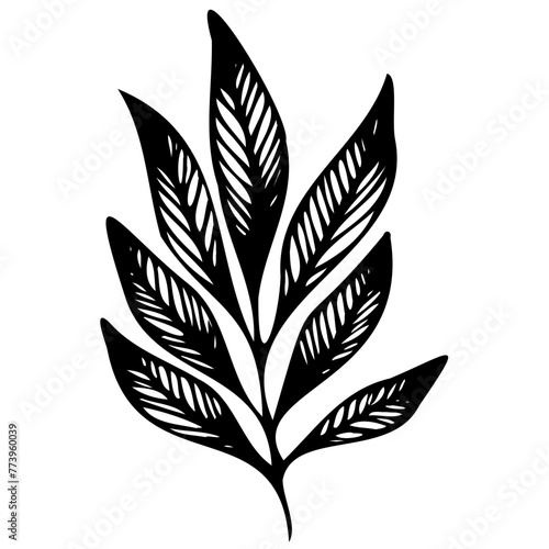 Hand drawn leaves line linear black strock Symbol visual illustration Botanical drawing. Minimal plant logo, meadow greenery, leaf and blooming flower abstract sketch element collection, linear rustic © Microstocke