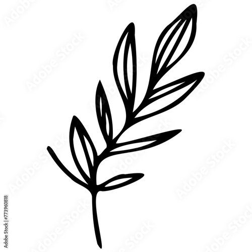 Hand drawn leaves line linear black Strock Symbol visual illustration Wild plant leaves hand drawn black on white background. Forest branch silhouette © Microstocke