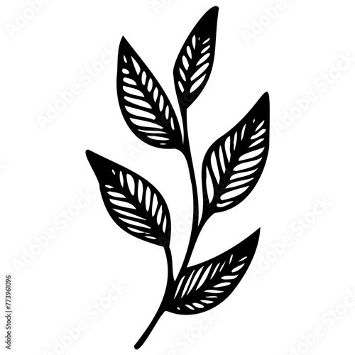 Hand drawn leaves Symbol visual illustration Tropical Leaves in doodle style. Vector hand drawn black line design elements. Exotic summer botanical illustrations. Monstera leaves, palm, banana leaf © Microstocke