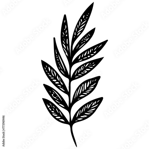 Hand drawn leaves Symbol visual illustration Tropical Leaves in doodle style. Vector hand drawn black line design elements. Exotic summer botanical illustrations. Monstera leaves, palm, banana leaf © Microstocke