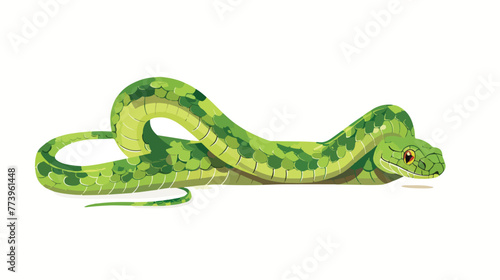 Cartoon green snake on white background flat vector is